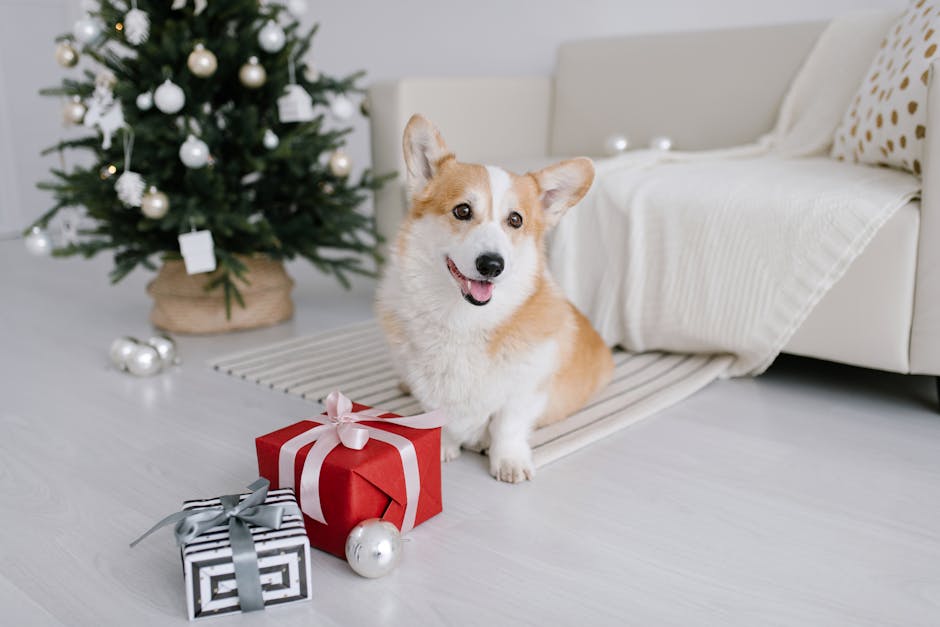 5 Perfect Dog Owner Gifts for Every Type of Dog Lover