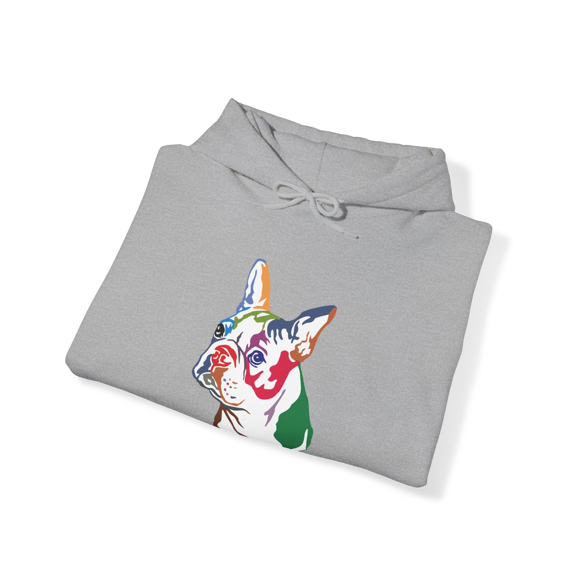 Boston Terrier Modern Art - Unisex Heavy Blend™ Hooded Sweatshirt - Finleys Online