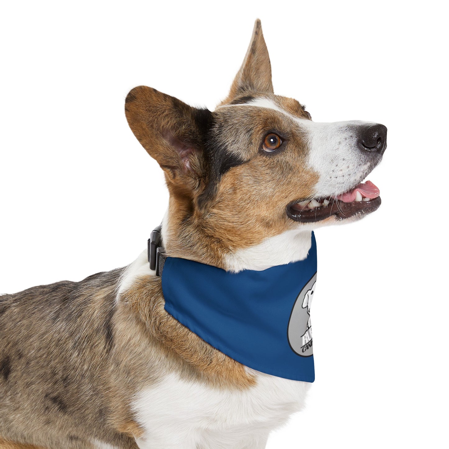 Ruff Life Pet Bandana Collar - Blue