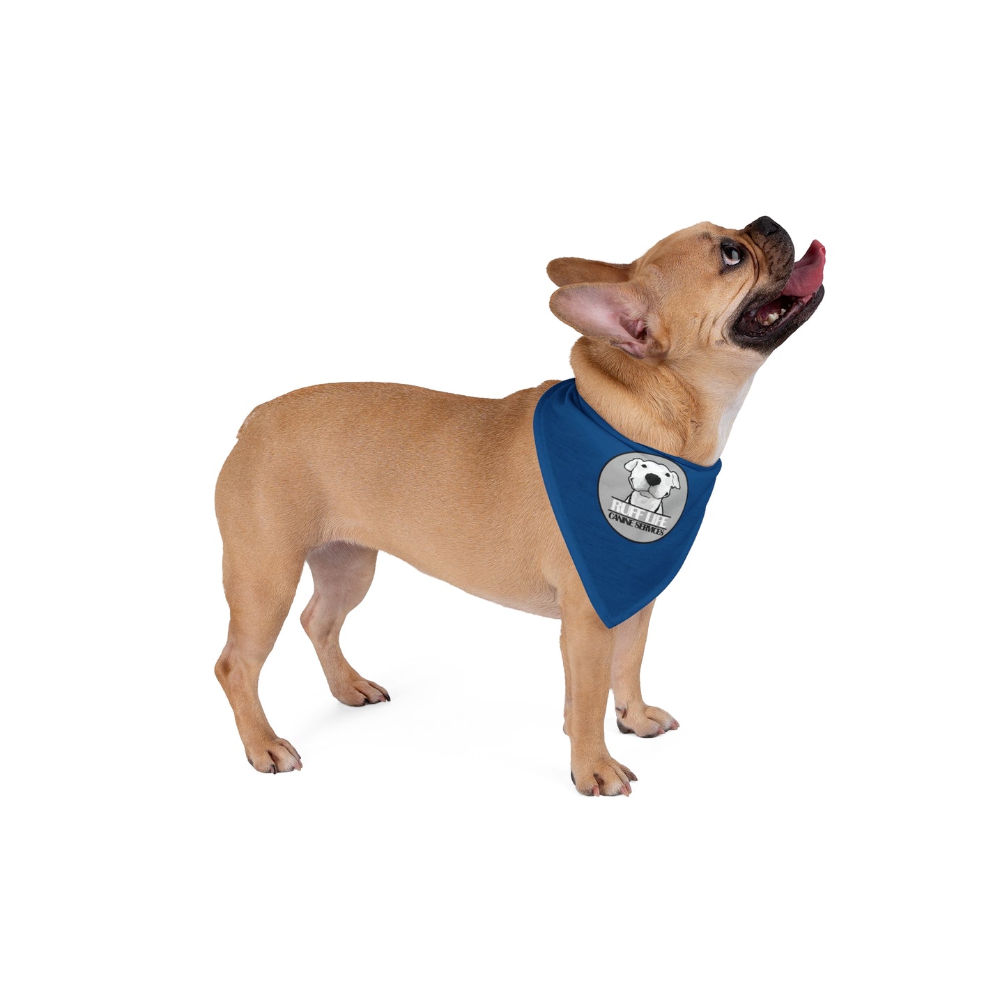 Ruff Life Pet Bandana (no clip) - Blue