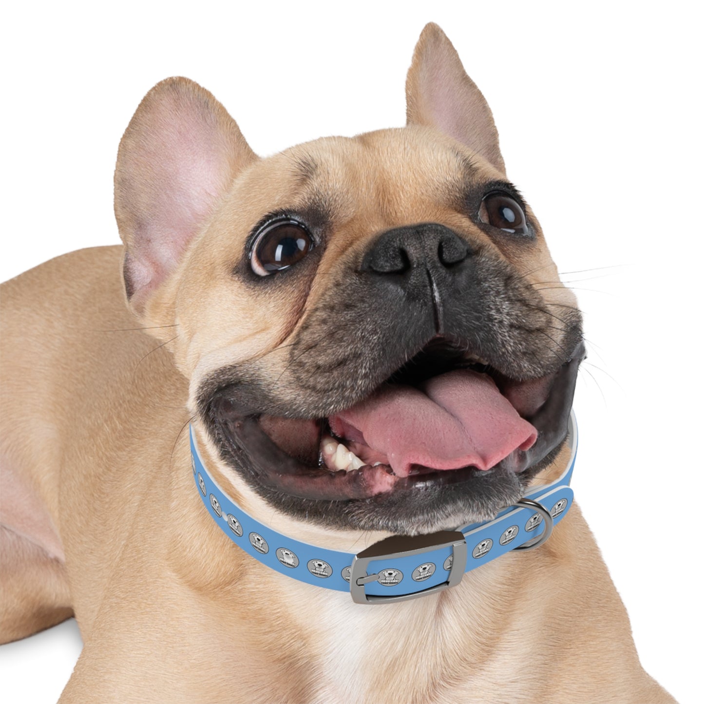 Ruff Life Dog Collar - Light Blue