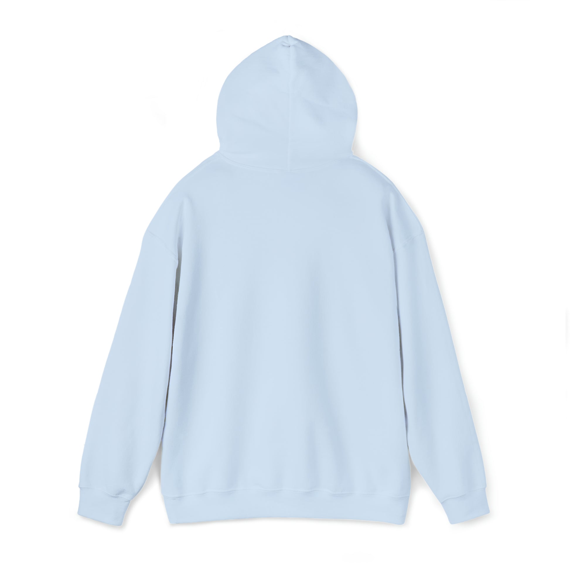 Modern Beagle Unisex Heavy Blend Hooded Sweatshirt - Finleys Online