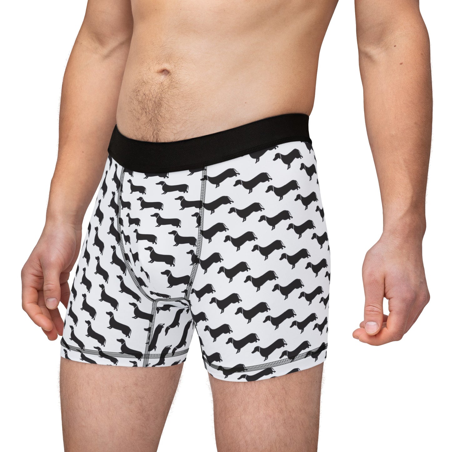 Dachshund Boxer Briefs - Men's