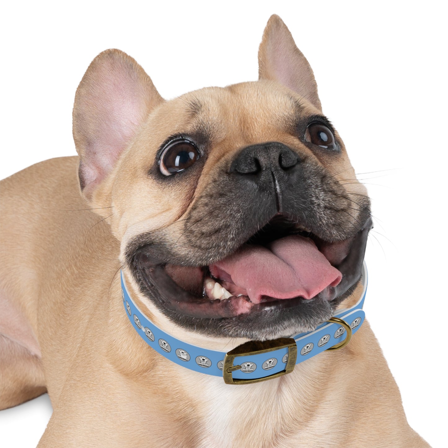 Ruff Life Dog Collar - Light Blue