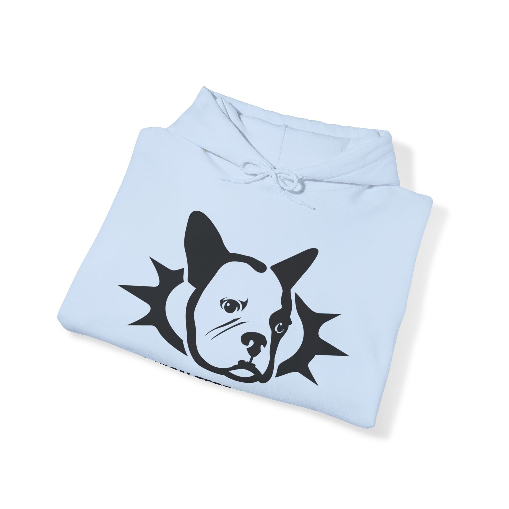 Boston Terrier Energy - Unisex Heavy Blend™ Hooded Sweatshirt - Finleys Online