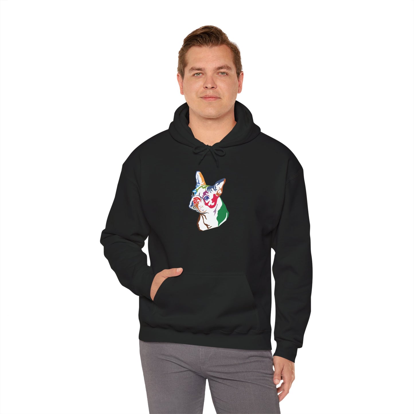 Boston Terrier Modern Art - Unisex Heavy Blend™ Hooded Sweatshirt