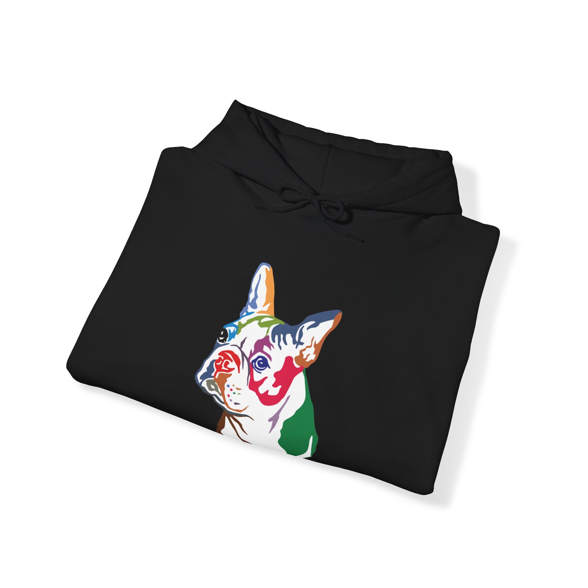 Boston Terrier Modern Art - Unisex Heavy Blend™ Hooded Sweatshirt - Finleys Online