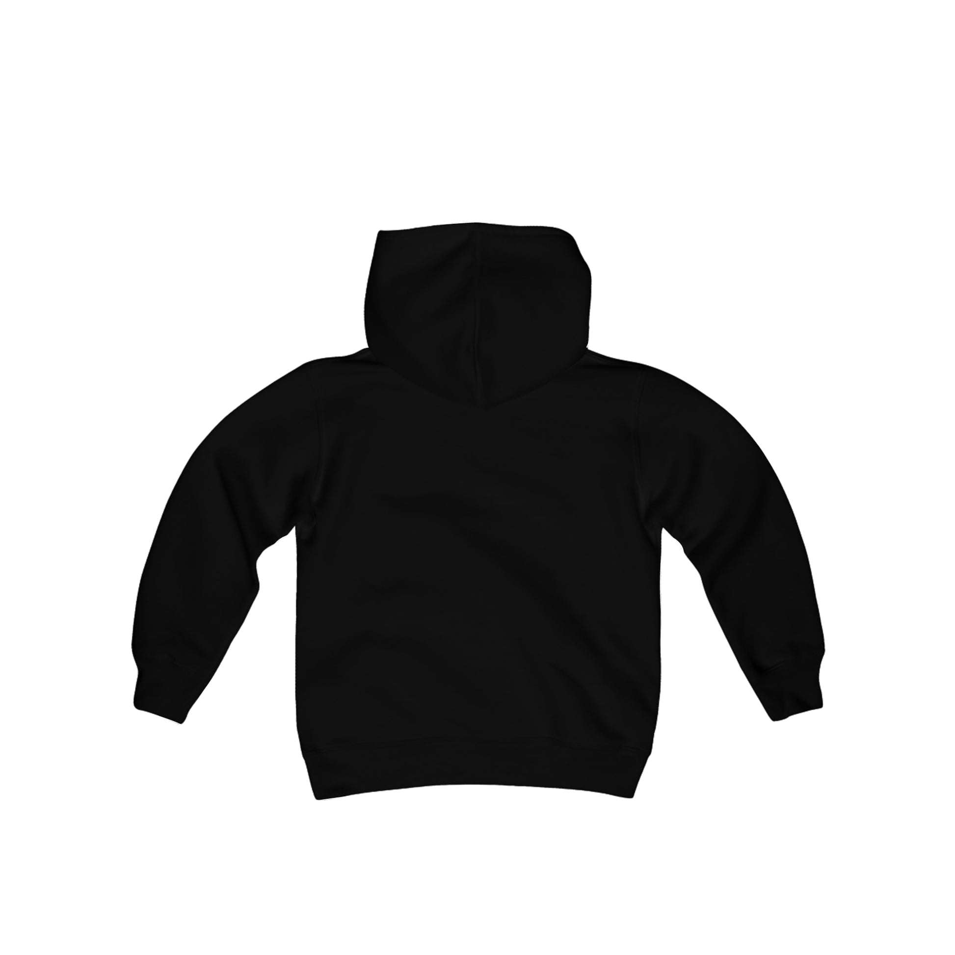 Modern Beagle Youth Heavy Blend Hooded Sweatshirt - Finleys Online