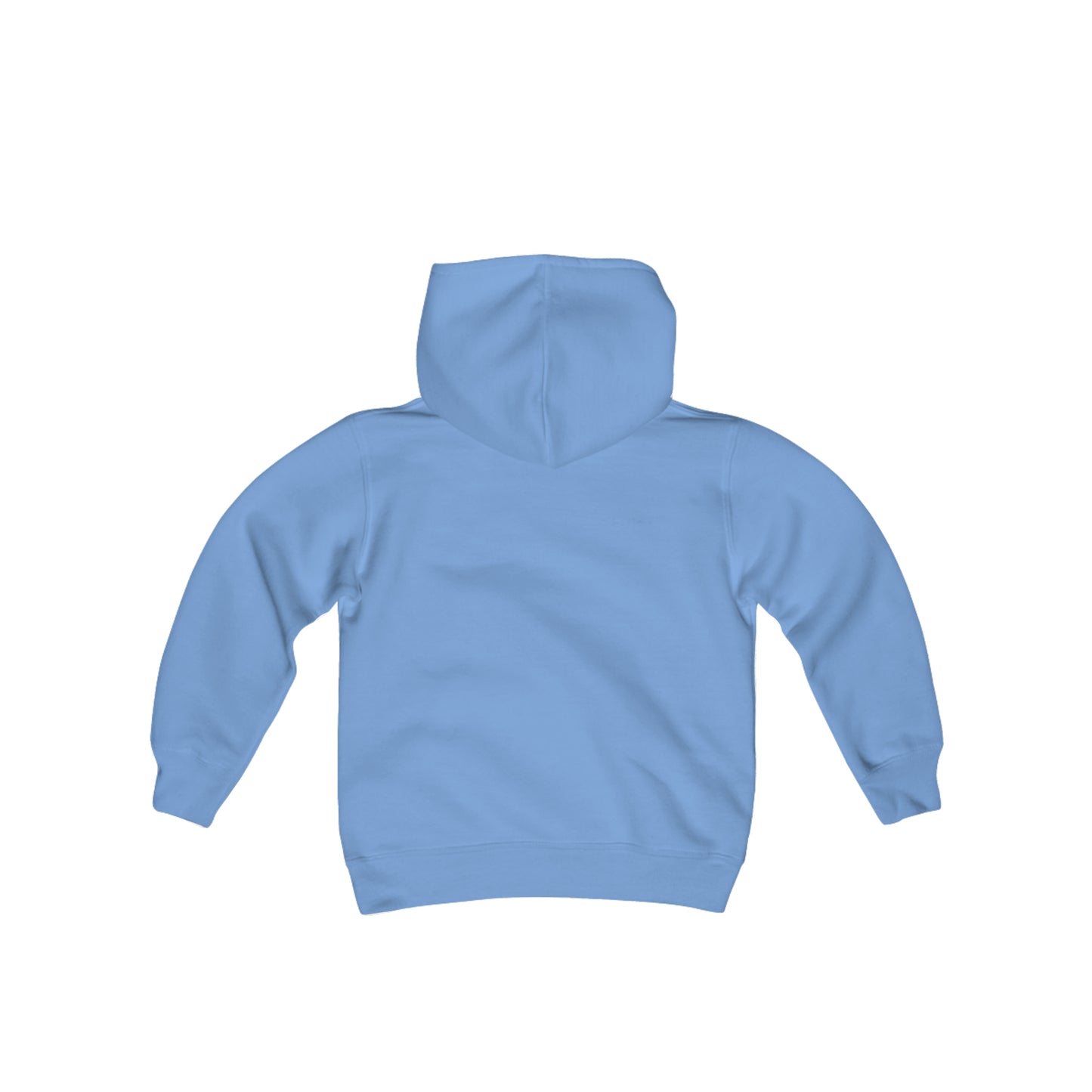 Modern Beagle Youth Heavy Blend Hooded Sweatshirt - Finleys Online