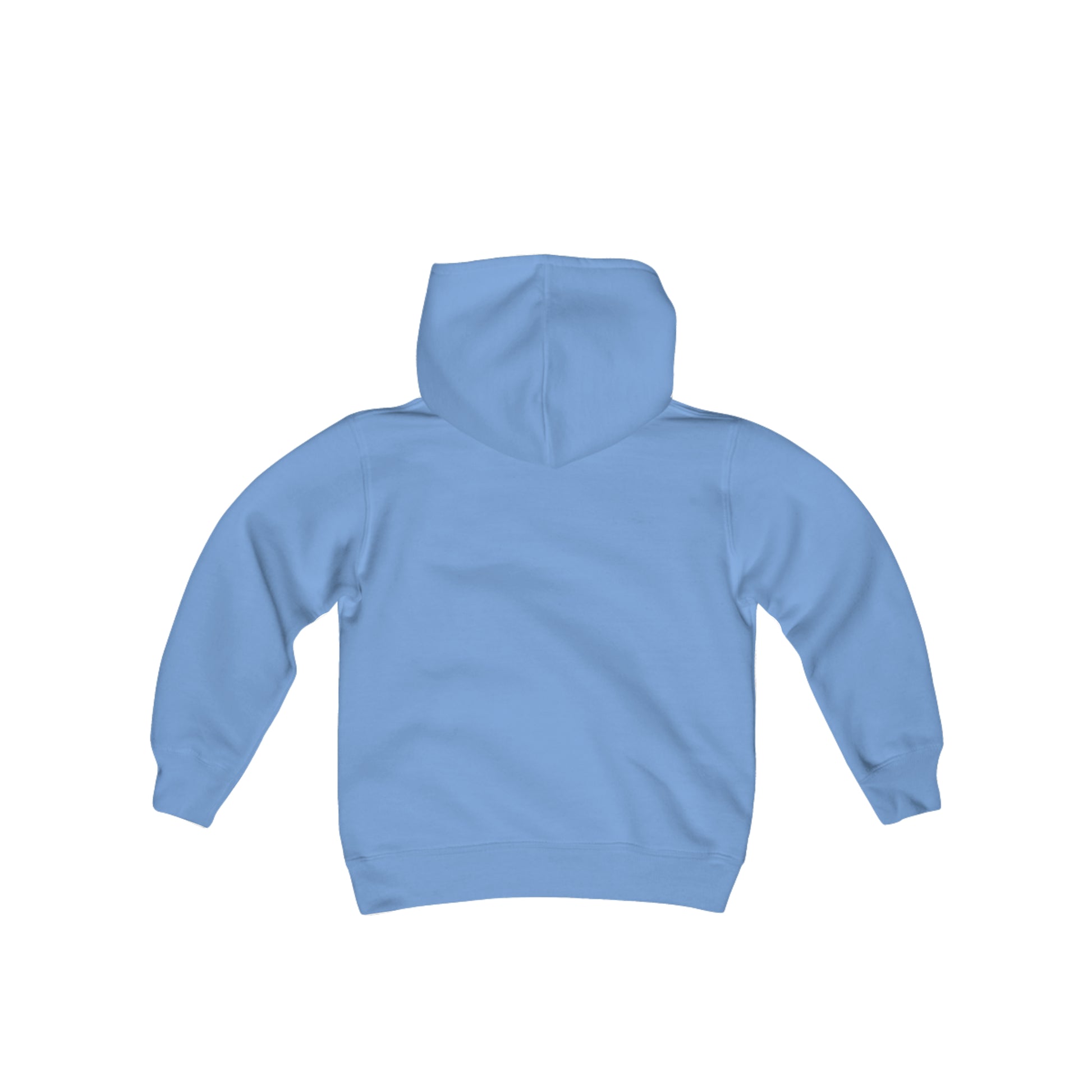 Modern Beagle Youth Heavy Blend Hooded Sweatshirt - Finleys Online