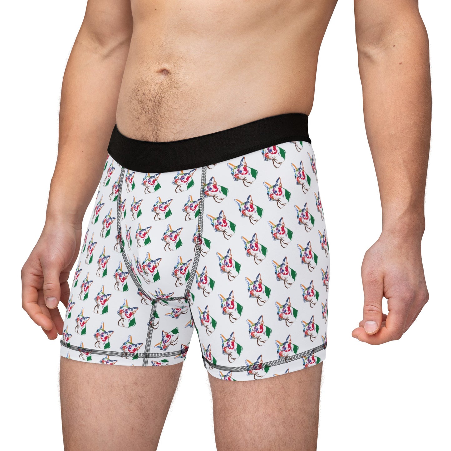 Boston Terrier Boxer Briefs - Men's