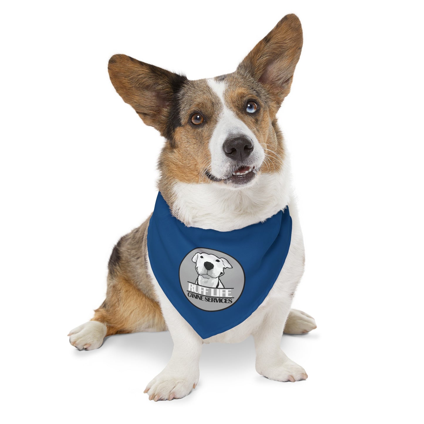 Ruff Life Pet Bandana Collar - Blue