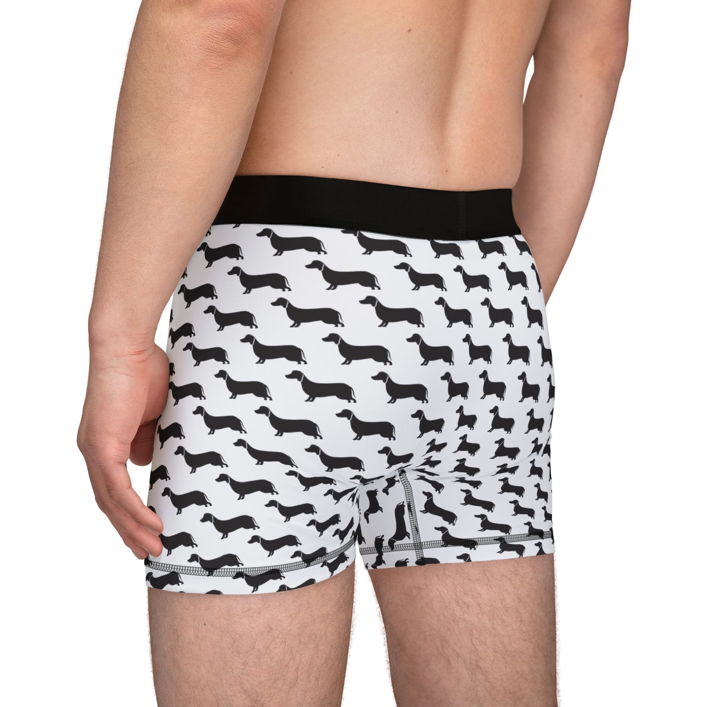 Dachshund Boxer Briefs - Men's