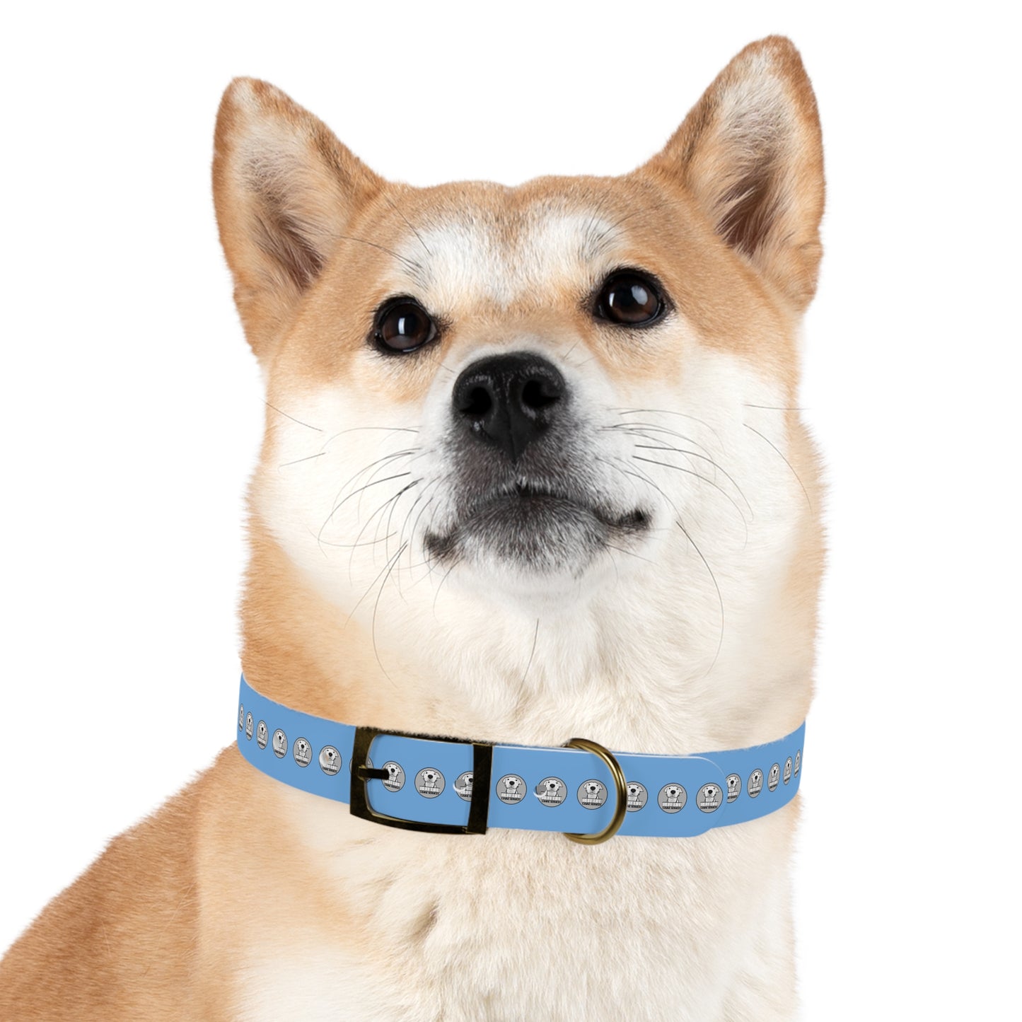 Ruff Life Dog Collar - Light Blue